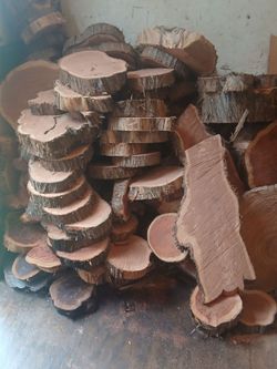 Cedar Slices And Slabs