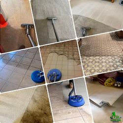 🏘Tile⚡️Grout 🎉Steam Pro⚡️Carpet 👉5 Star 💫 