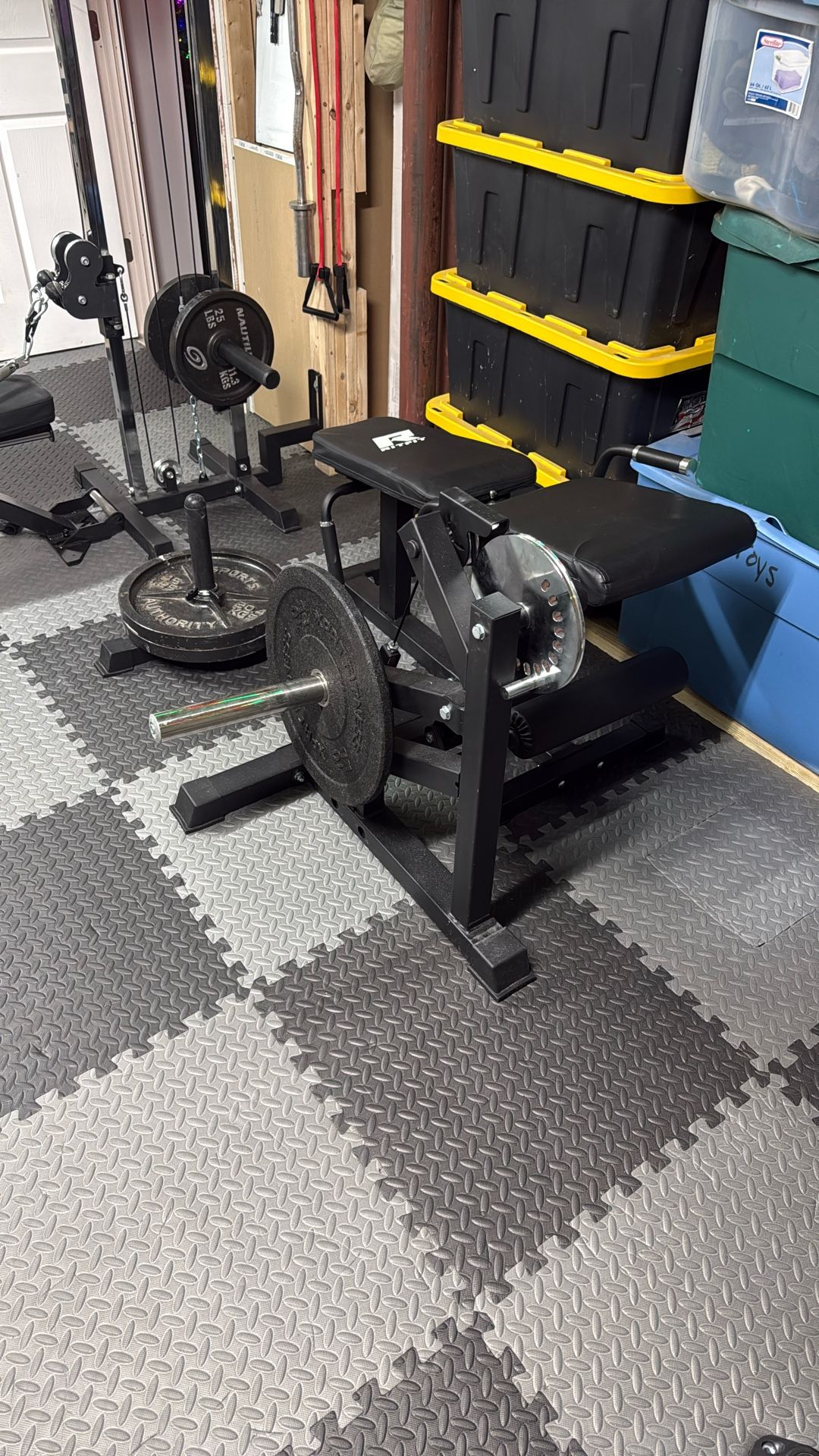 Ritfit leg extension/leg curl