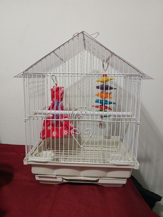 Bird Cage