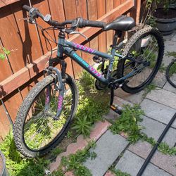 24 inch mountain bike