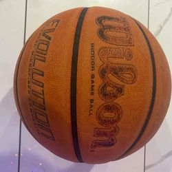 Wilson Evolution Basketball 28.5 Inch Game Ball NHFS