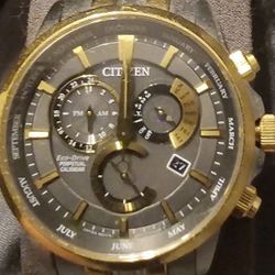 Citizen Eco-Drive BL8144-89H 42mm