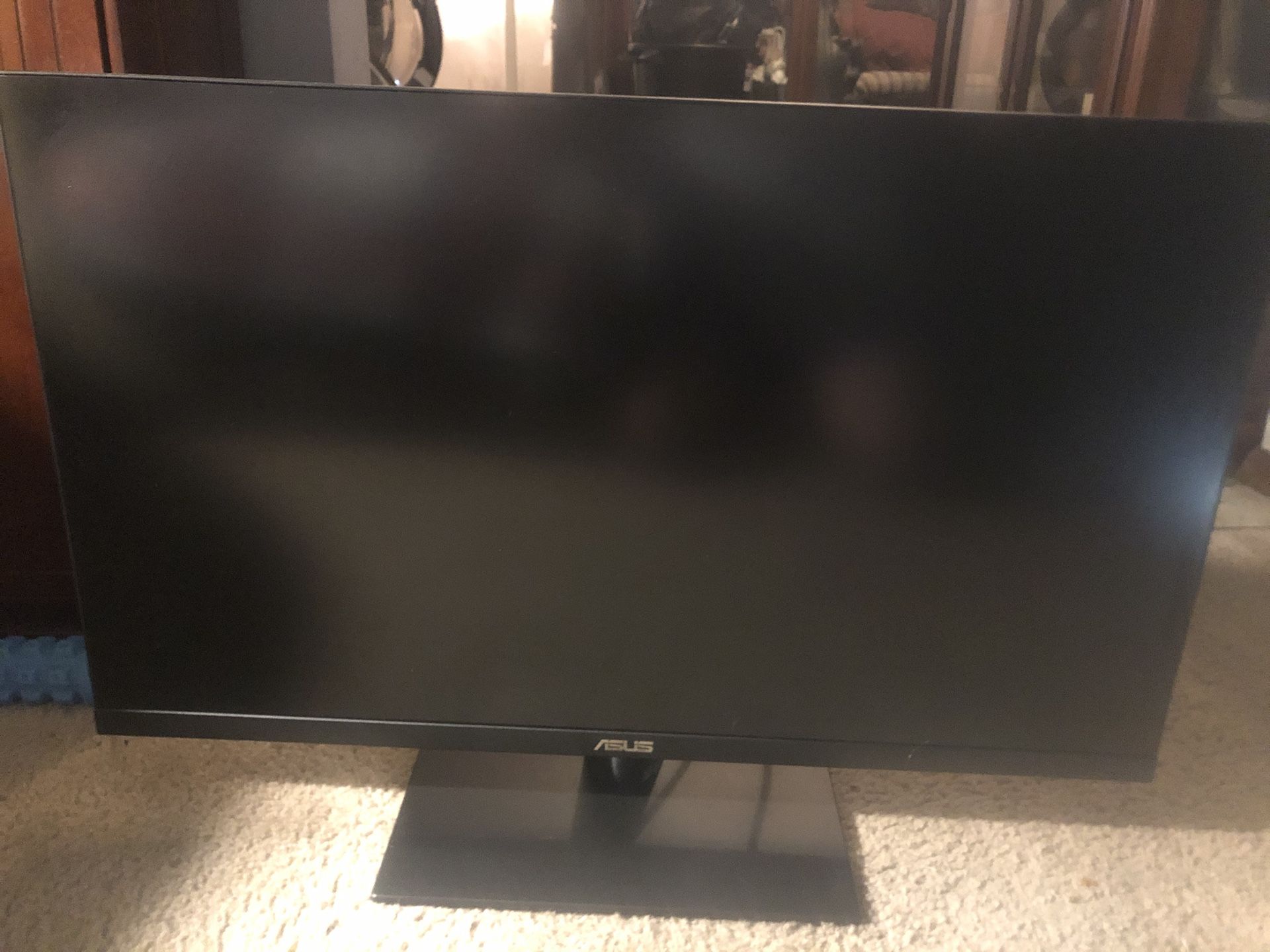 ASUS Monitor