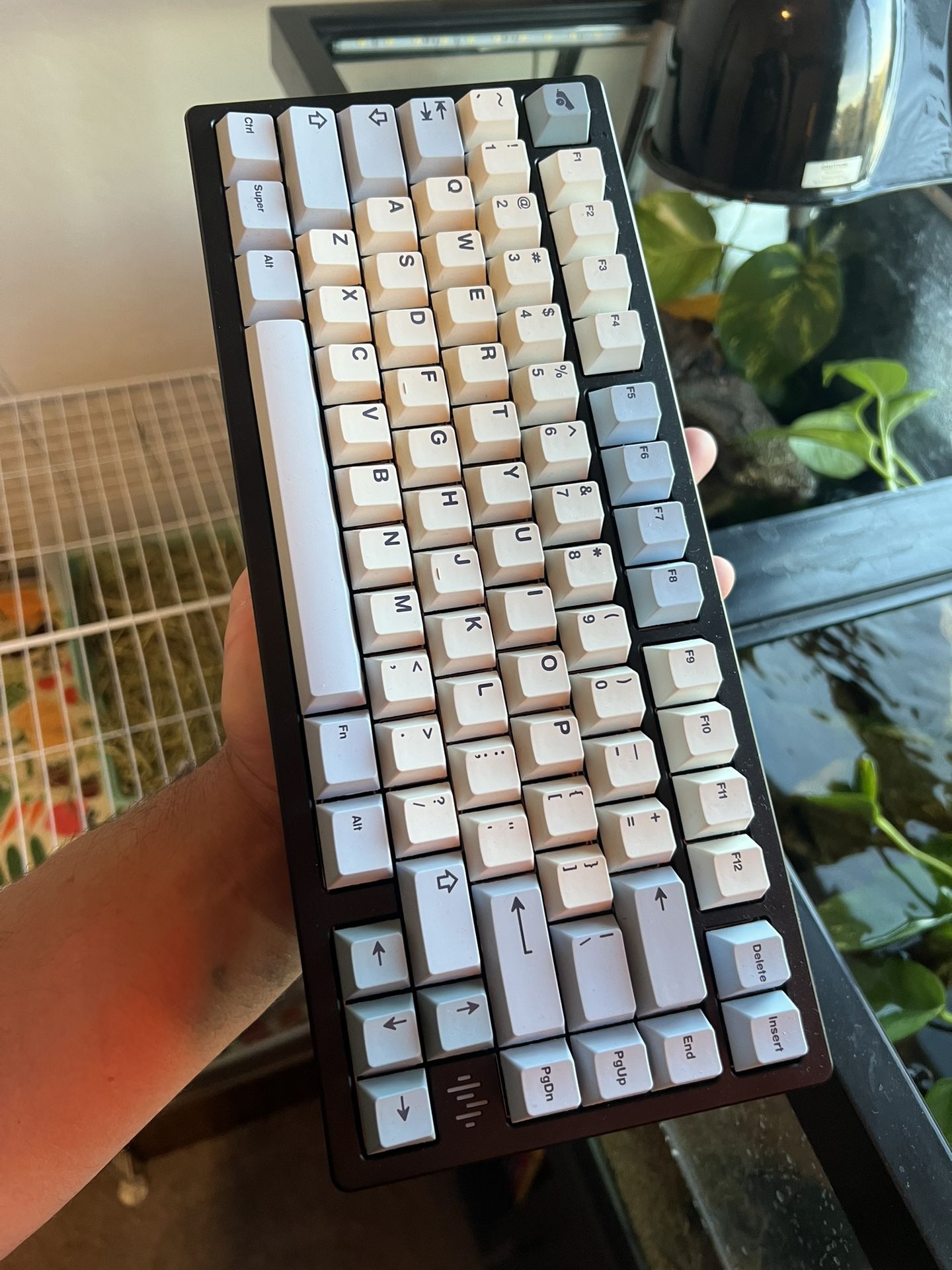 Mechanical Keyboard 