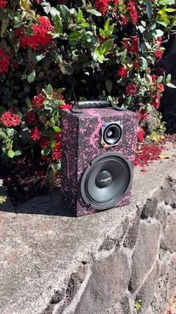 Custom speaker box