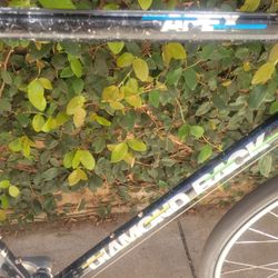 Diamondback apex for sale sale