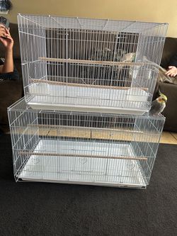 Bird Cages