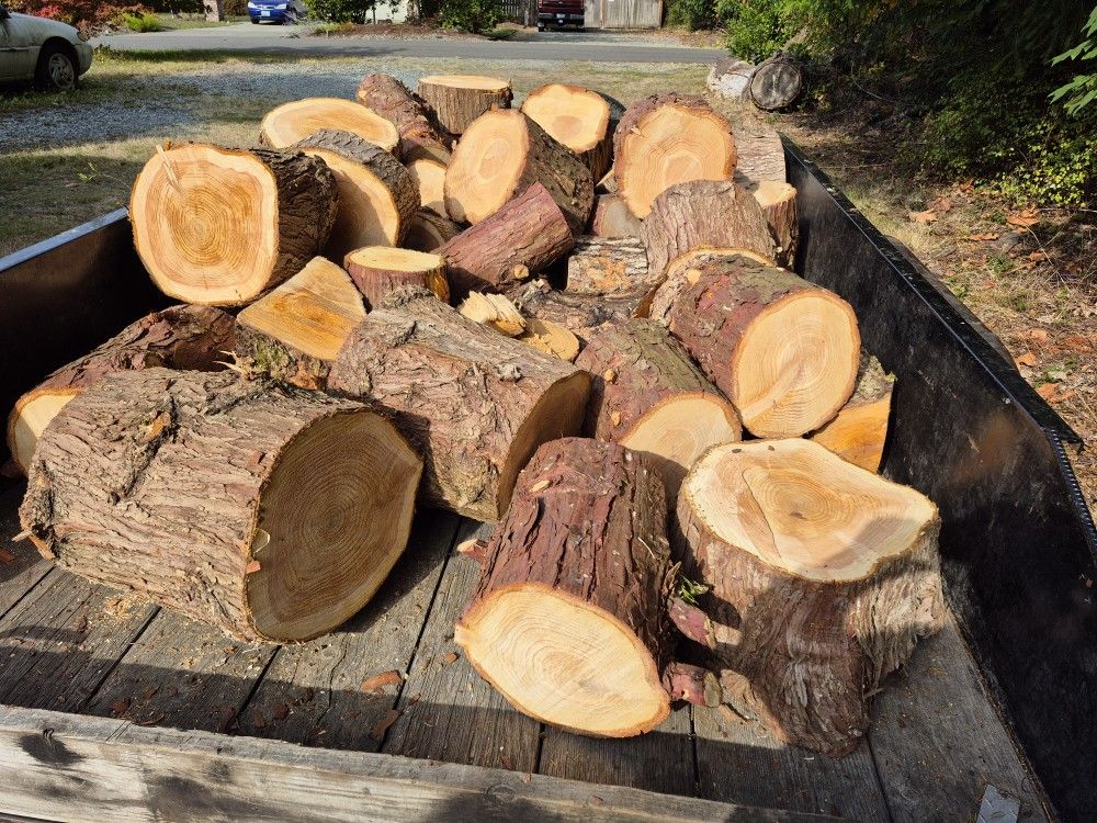 Wood
