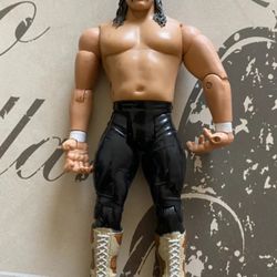 WWE Wrestler