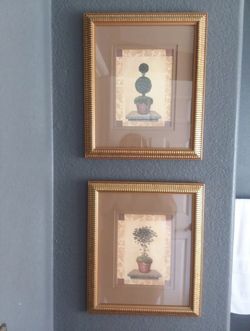 Tree frames