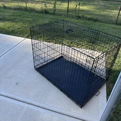 dog cage 