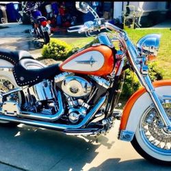 2001 Harley-Davidson Softtail