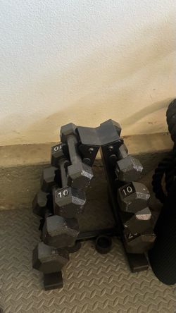 Small Dumbbells Set