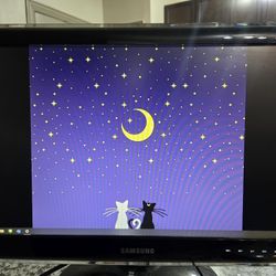 23" Samsung Monitor