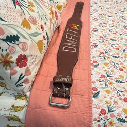 Lifting Belt