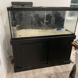 75 gallon fish tank for sale cheap