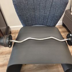 EZ Curl  Bar 