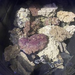 Saltwater Reef Aquarium Cured Live Rock 