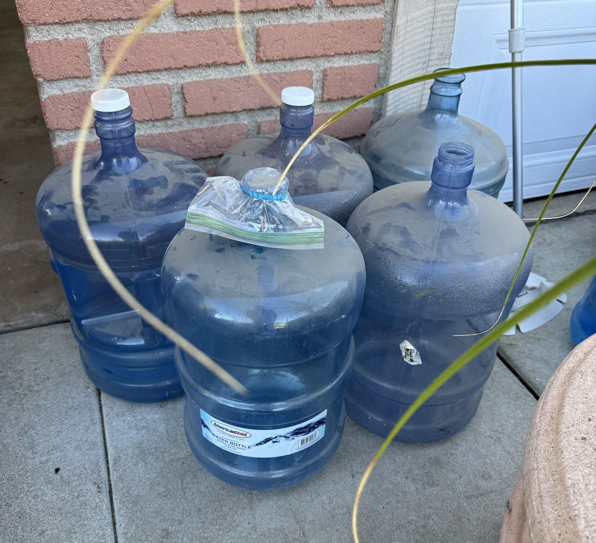 5 Gal 