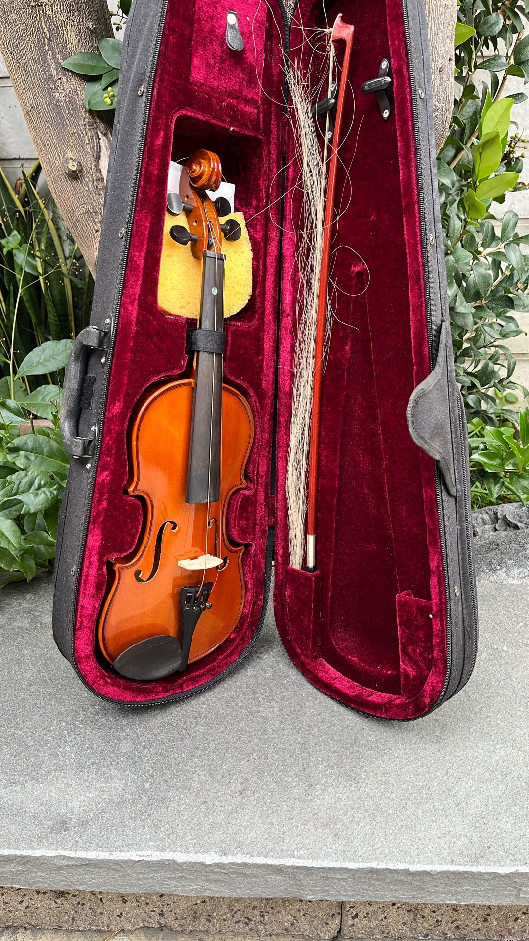 Melody Violin 