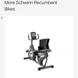 Schwinn Recumbent Bike