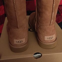 Uggs 