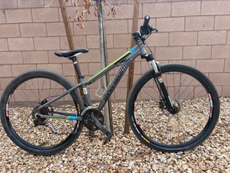 Rocky Mountain 29” Mountain Bike – Small – $300 OBO