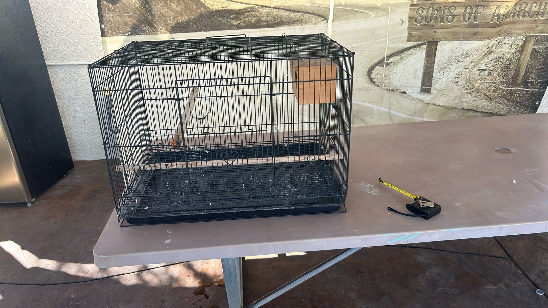 Bird Cage