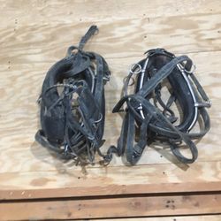 2 Pony Harnesses