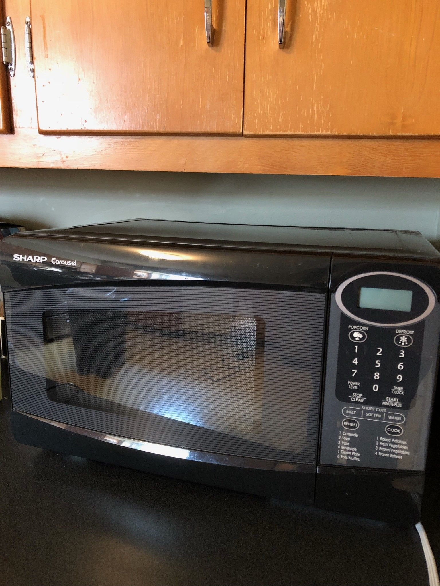 Sharp R-209KK Microwave