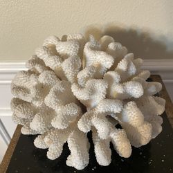 Large Real Coral 9” ,Natural White Coral Tree
