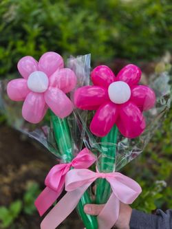 Balloon flower