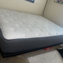 (Queen) Pressure smart plush Mattress with Adjustable Base And Remote