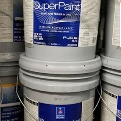 Paint New Paint Top Of The Line Super paint Any Color Matched