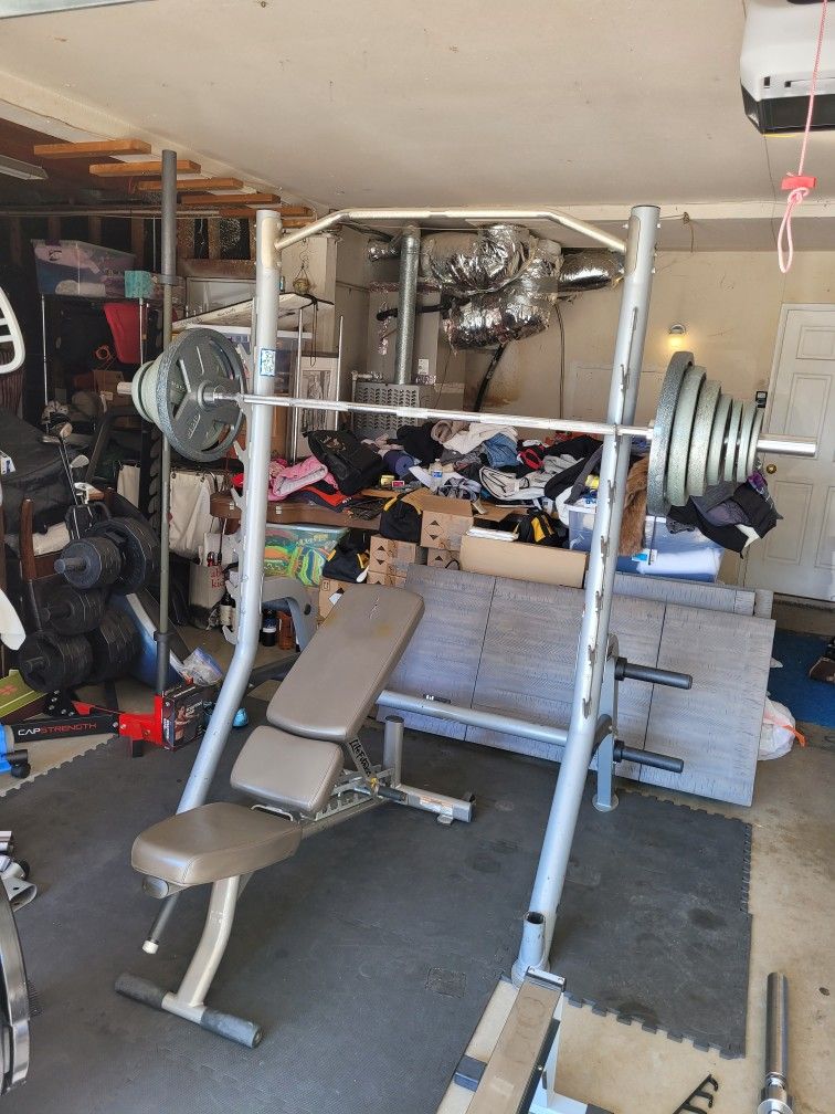 (300Lb) Olympic Weight and Hoist Squat Rack/Life Fitness Adjustable Weight Bench for $575 Firm (Walnut 91789)