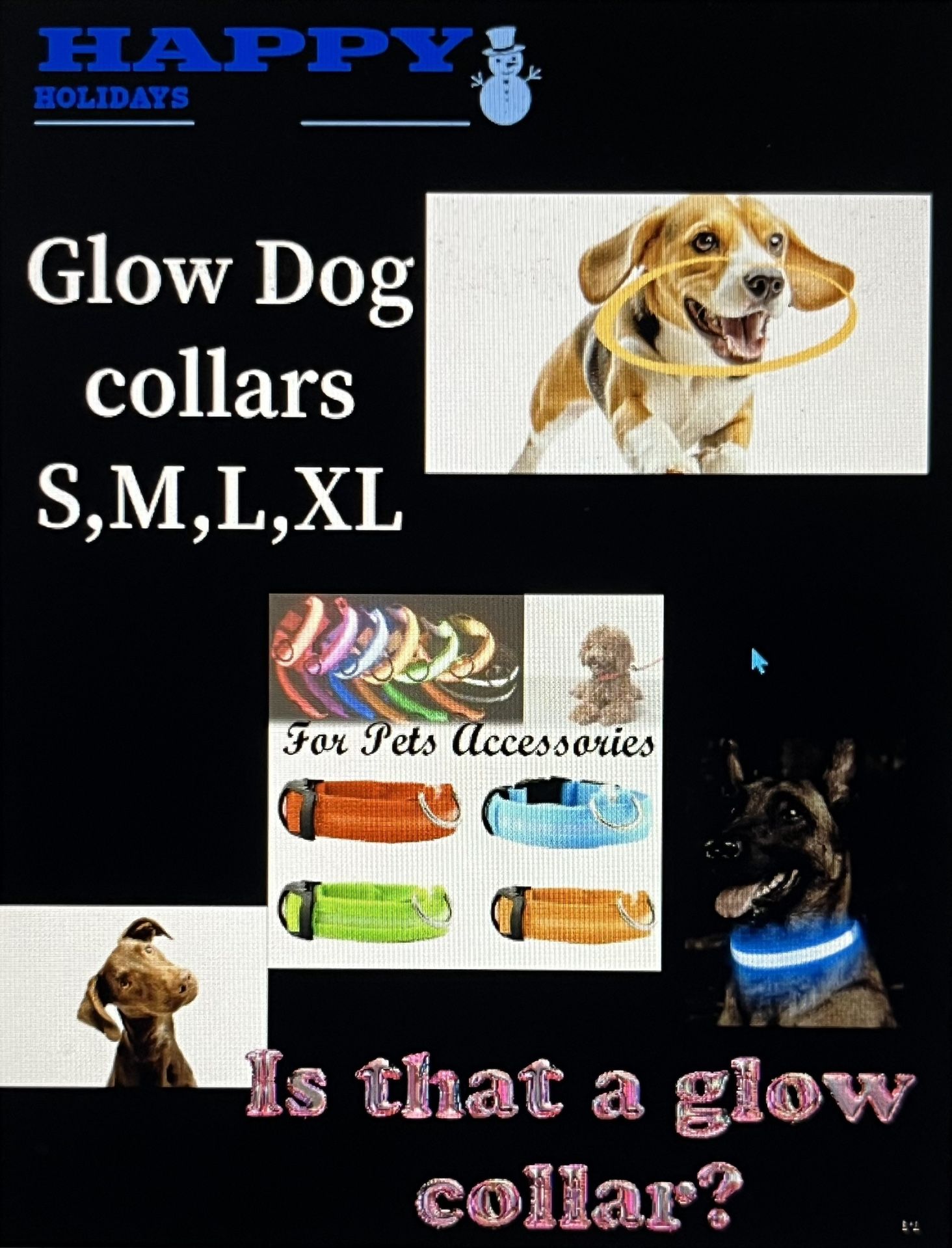 Dog Collars