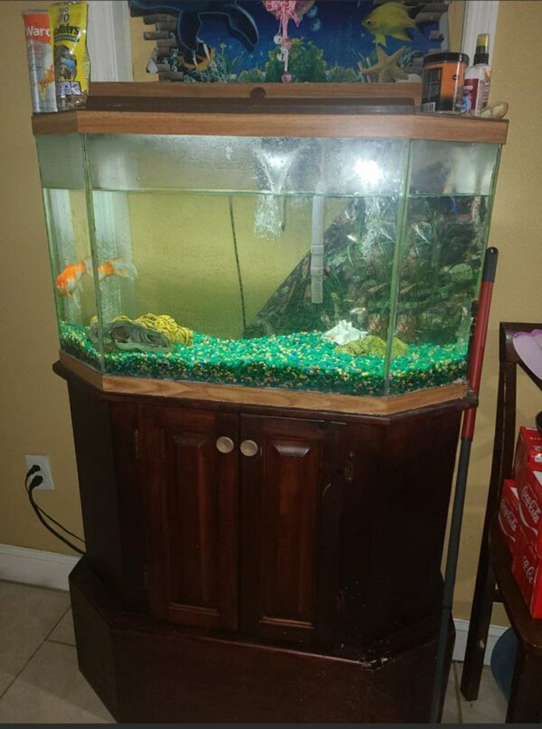 Fish tank