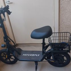 Hoverfly Scooter