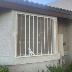 2 Security Window Bars