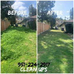 Weeds Removal 
