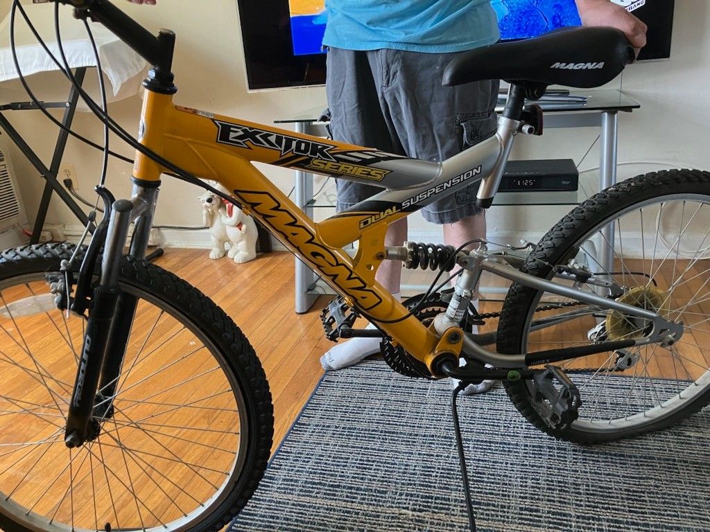 Adult Bike