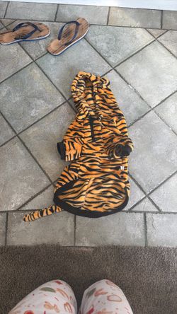 Tiger halloween dog costume 