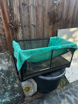 Reptile Tank