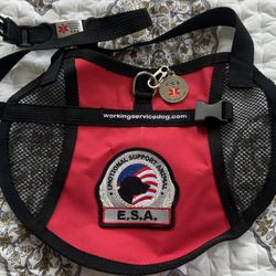 Service Dog vest  Medium