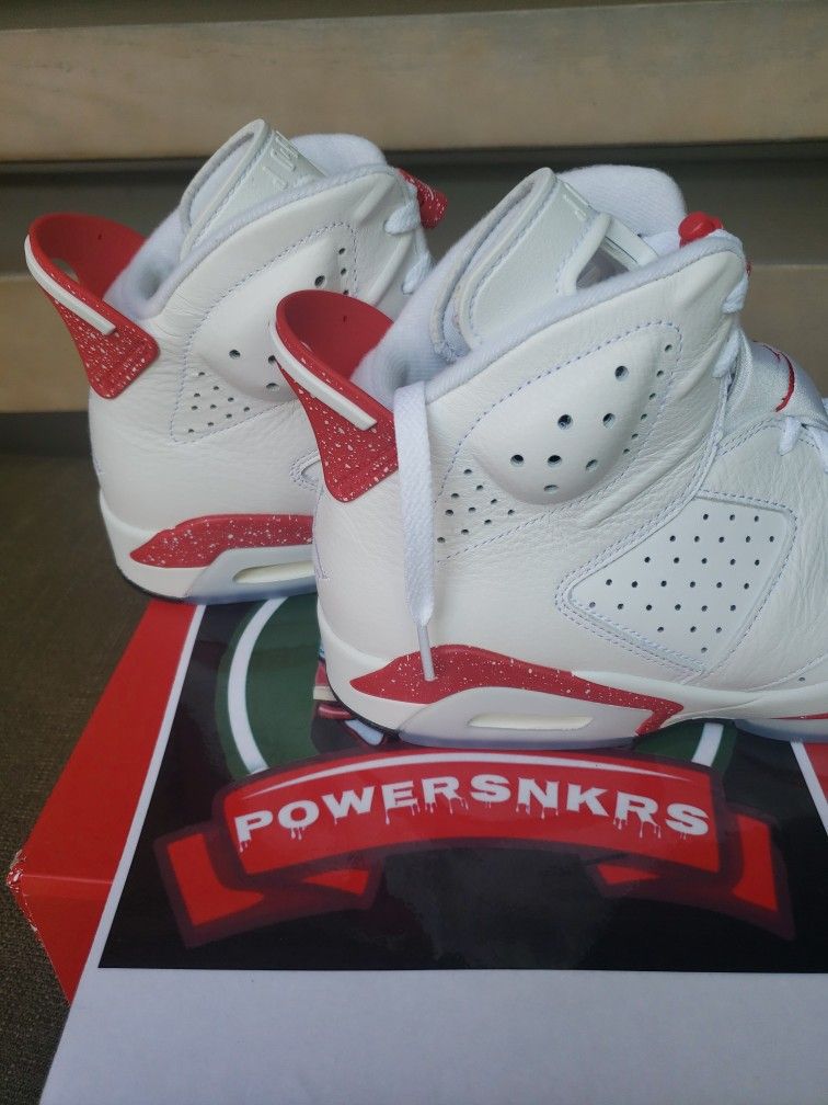 BRAND NEW AIR JORDAN 6 RETRO