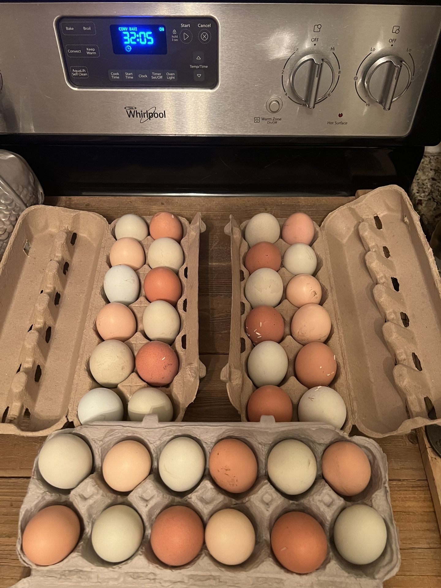 Fresh Eggs