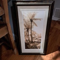 Palm Tree Frame
