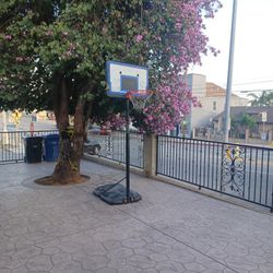 Basketball Court