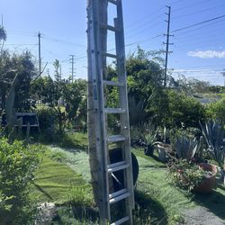 Louisville 16’ Ladder 